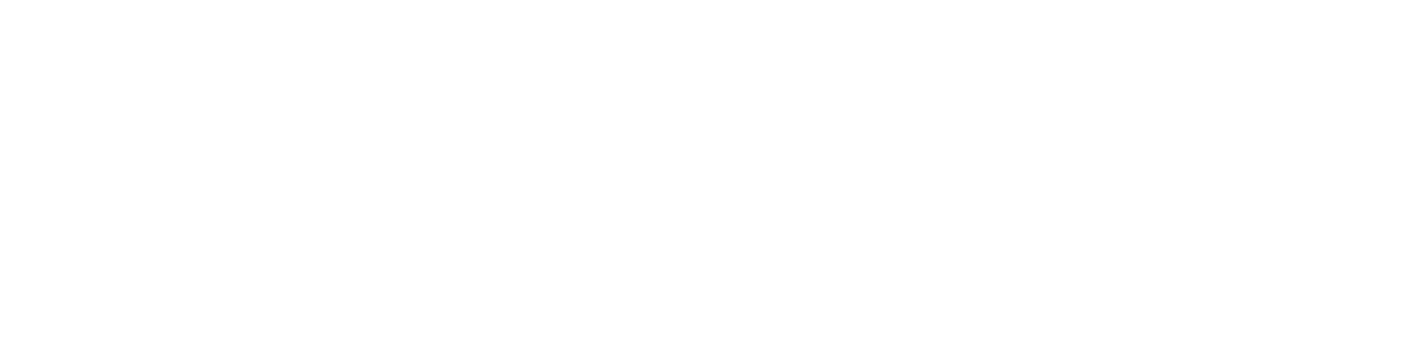 shopvenetia.com